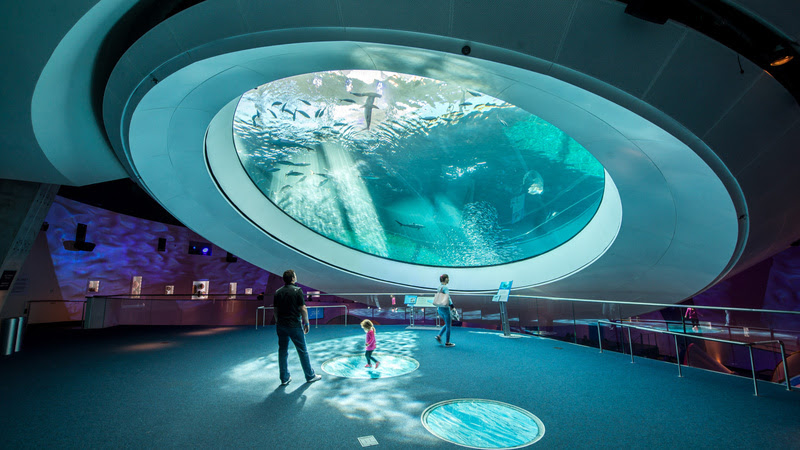 Exposição da Corrente do Golfo no Frost Museum of Science